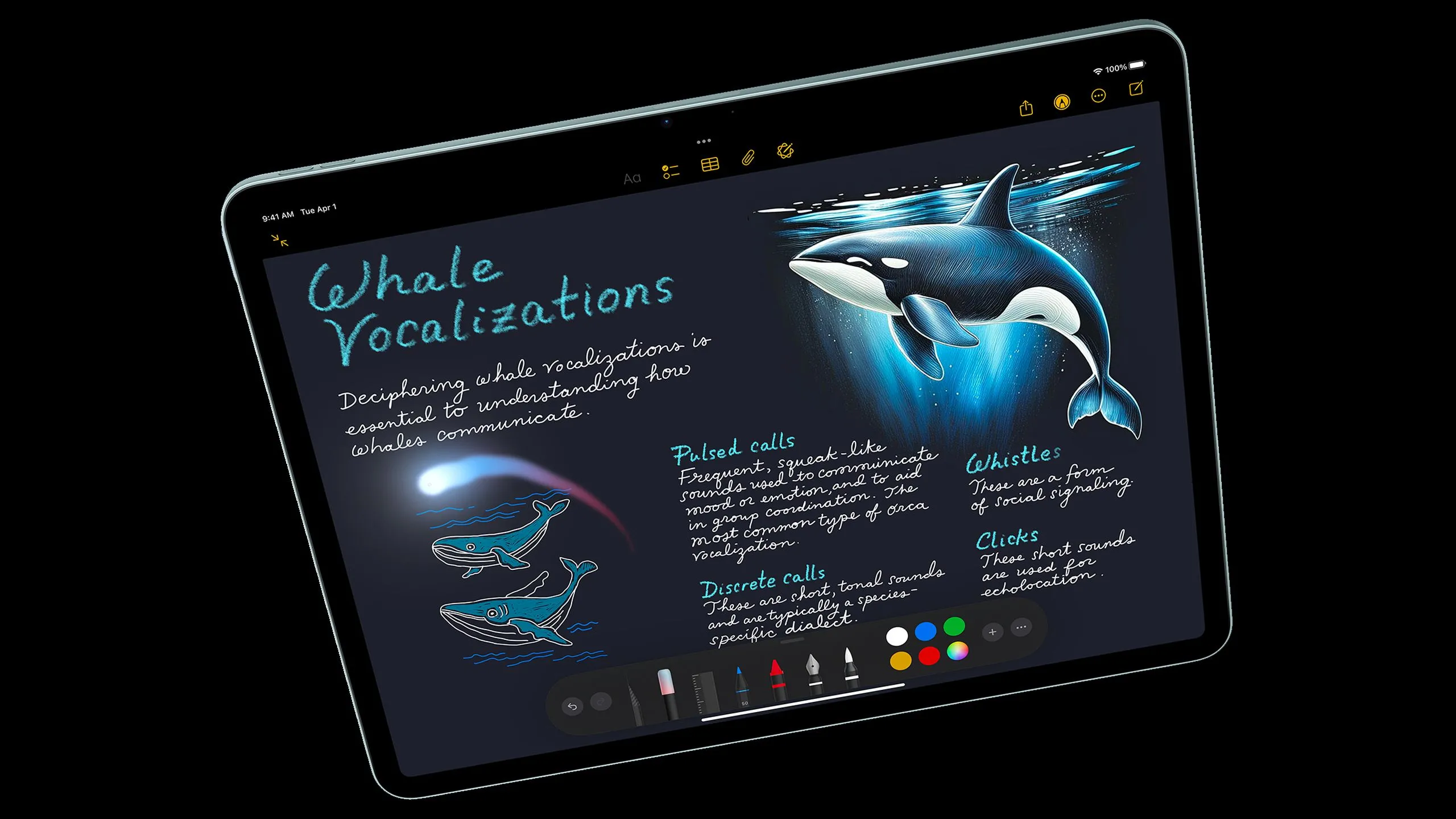 Minh họa ứng dụng Notes trên iPad Air 2025 đang hiển thị bản vẽ, cho thấy giao diện phiên bản iPad