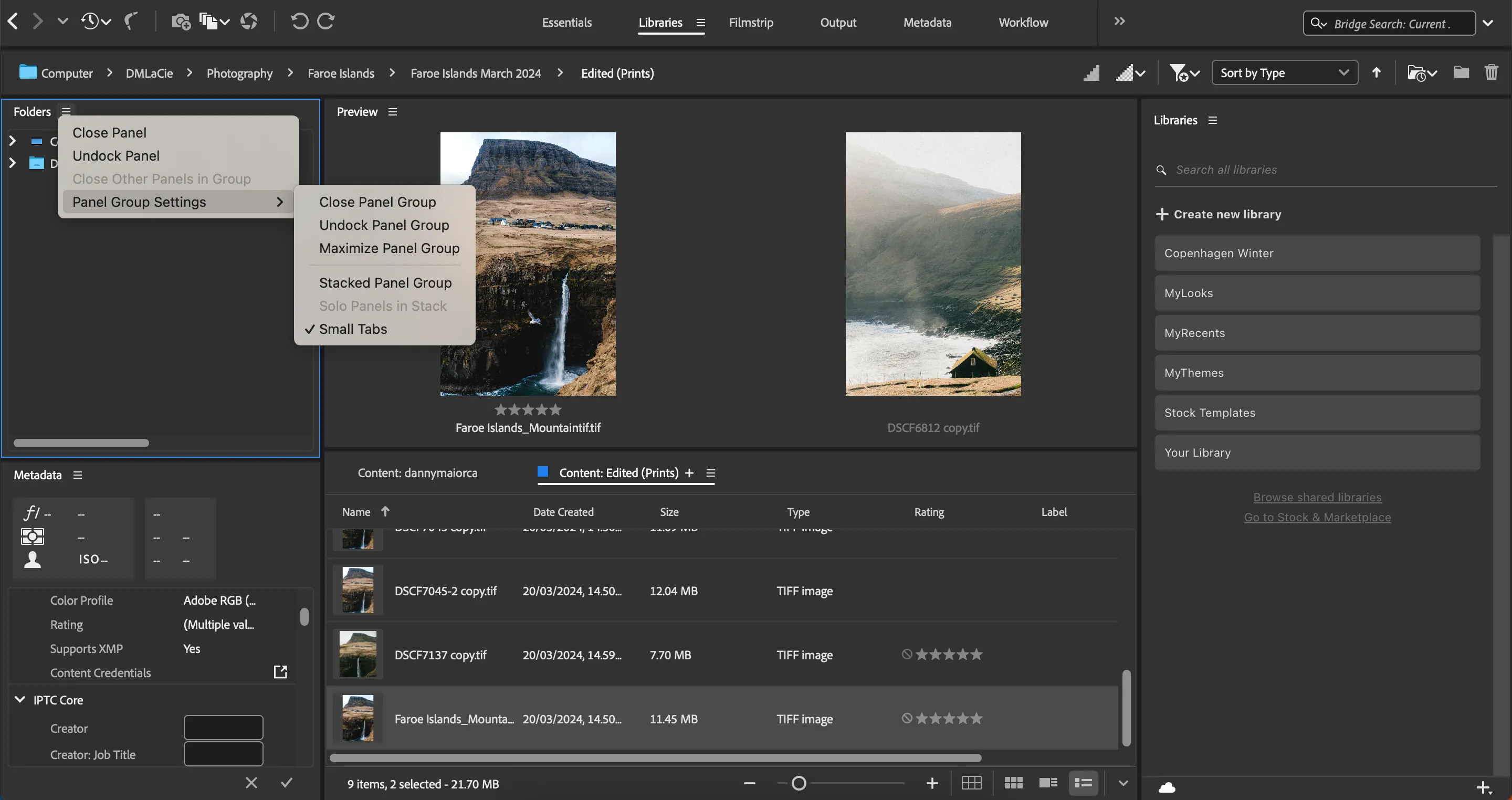 Cài đặt để chỉnh sửa các bảng điều khiển trong Adobe Bridge