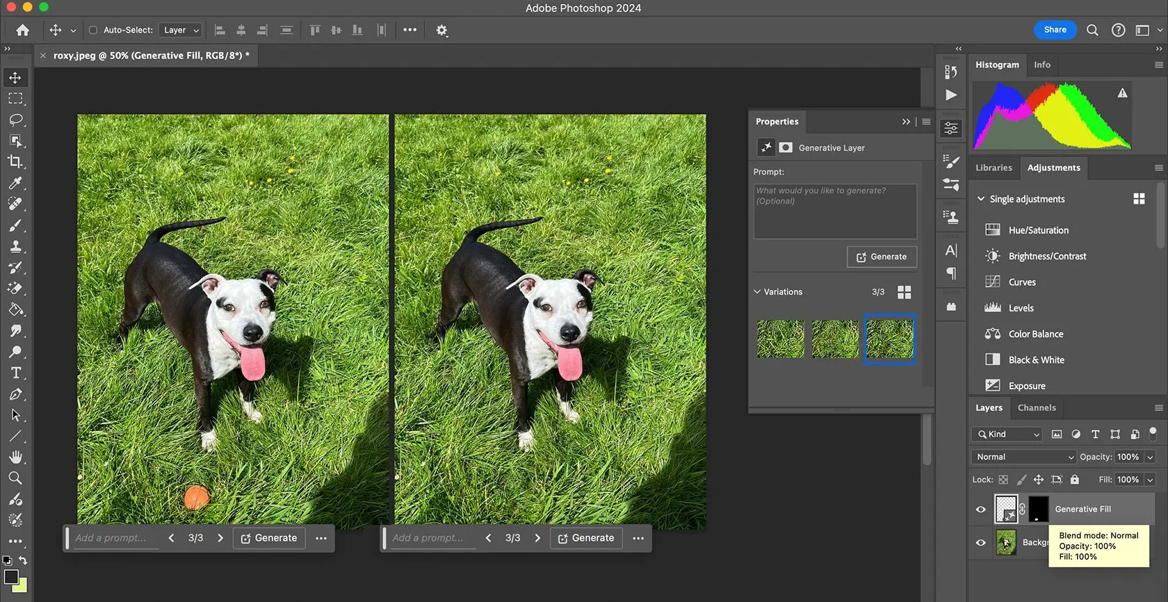 Công cụ Generative Fill sử dụng AI trong Adobe Photoshop